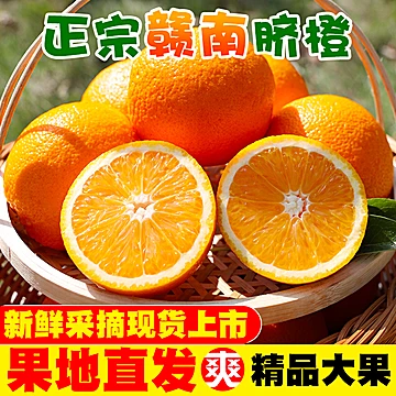 【一品优】赣南精品脐橙5斤[2元优惠券]-寻折猪