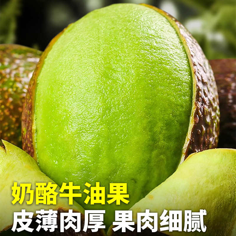 顺丰云南孟连哈斯牛油果新鲜水果大果15个当季即食一级鳄梨糯国产,淘宝优惠券,粉丝福利购,淘宝优惠卷