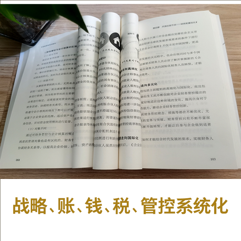 正版速发老板财务利润管控财税企业财务管理的本质思维规划成本控制资产营运运营规避经营风险板书籍赚钱心理学初中-图2