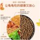 ການລ້ຽງເຕົ່າ Shiqian | ຫລາຍພັນຄົນໄດ້ຊື້ຫຼາຍກວ່າ