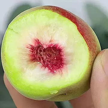 山东当季青州蜜桃5斤装[1元优惠券]-寻折猪