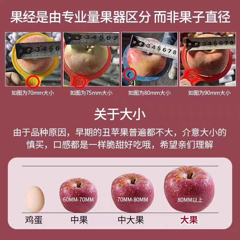 2025新鲜水果大凉山当季整箱冰糖心丑苹果孕妇四川盐源红富士包邮,淘宝优惠券,粉丝福利购,淘宝优惠卷