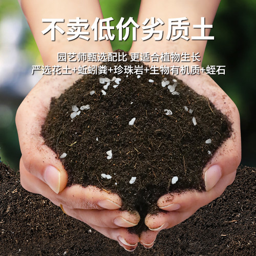 腐殖土营养土养花通用专用天然腐叶种菜土壤通用型种植土稻壳花土 - 图1