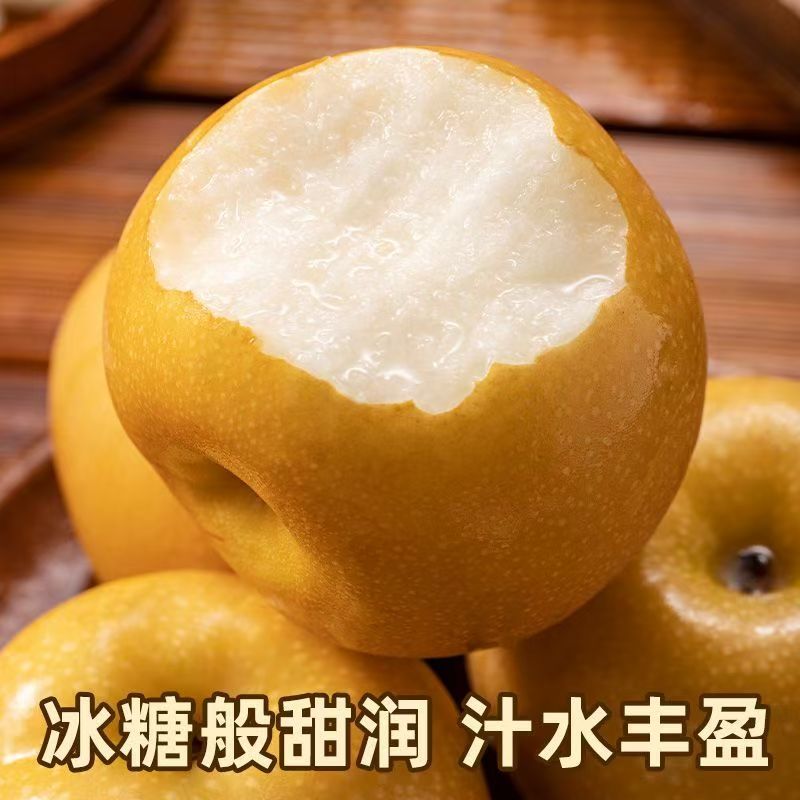当季新鲜山东丰水梨现摘直发4.5斤
