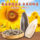 名鸽多味手打瓜子休闲食品500G*2袋共2斤