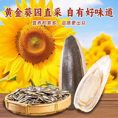 瓜子原味五香多味打手坚果葵花籽零食结婚大包装大颗粒新鲜袋装