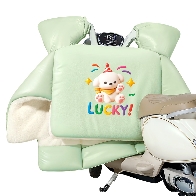 风罩防头部防春秋双面通用摩托风罩电动车大防泼水防寒四季电瓶车