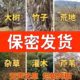 Powerful root remover for big tree rotten roots | Thousands of people collected it