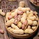 Bibizan Longyan peanut shelled garlic perfume boiled peanuts as snacks snacks spiced white sun-dried