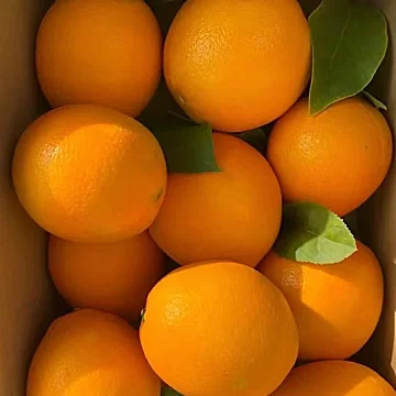 【单果70-90】正宗赣南脐橙净重4.5斤[2元优惠券]-寻折猪