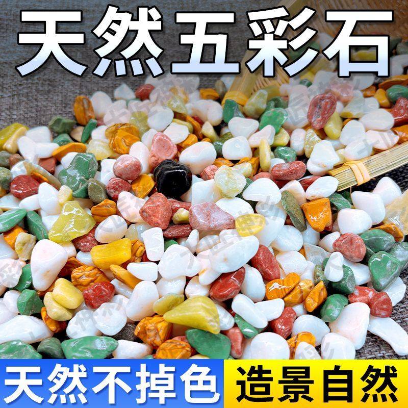 天然雨花石五彩石鱼缸造景底部砂石盆栽多肉铺面石鹅卵石装饰摆件,淘宝优惠券,粉丝福利购,淘宝优惠卷