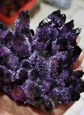 保真天然紫晶簇紫晶原石标本紫水晶摆件消磁家居办公室新家送礼