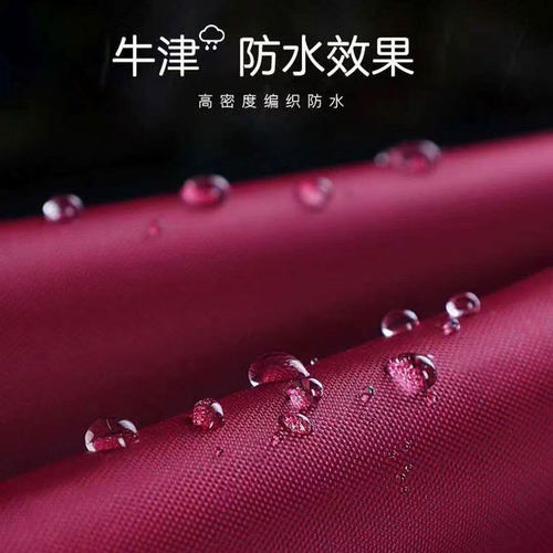 电瓶车雨衣男成人防暴雨单双人女电动摩托车雨披防水牛津布电动车 - 图1