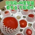 陕西泾阳普罗旺斯西红柿孕妇水果当季自然熟新鲜生吃番茄蔬菜一颗 图片 3