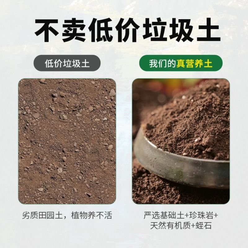 营养土养花种菜专用土多肉盆栽通用型种植土土壤花土肥料发酵种花 - 图2