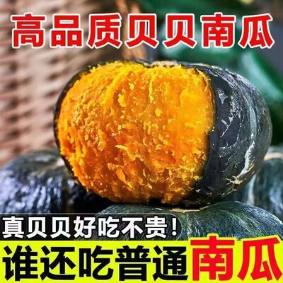 贝贝南瓜正宗板栗味新鲜小南瓜孕妇婴儿辅食老南瓜粉糯甜蔬果