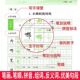 The best choice for primary school students to synchronize copybooks and synchronize copybooks to practice calligraphy.