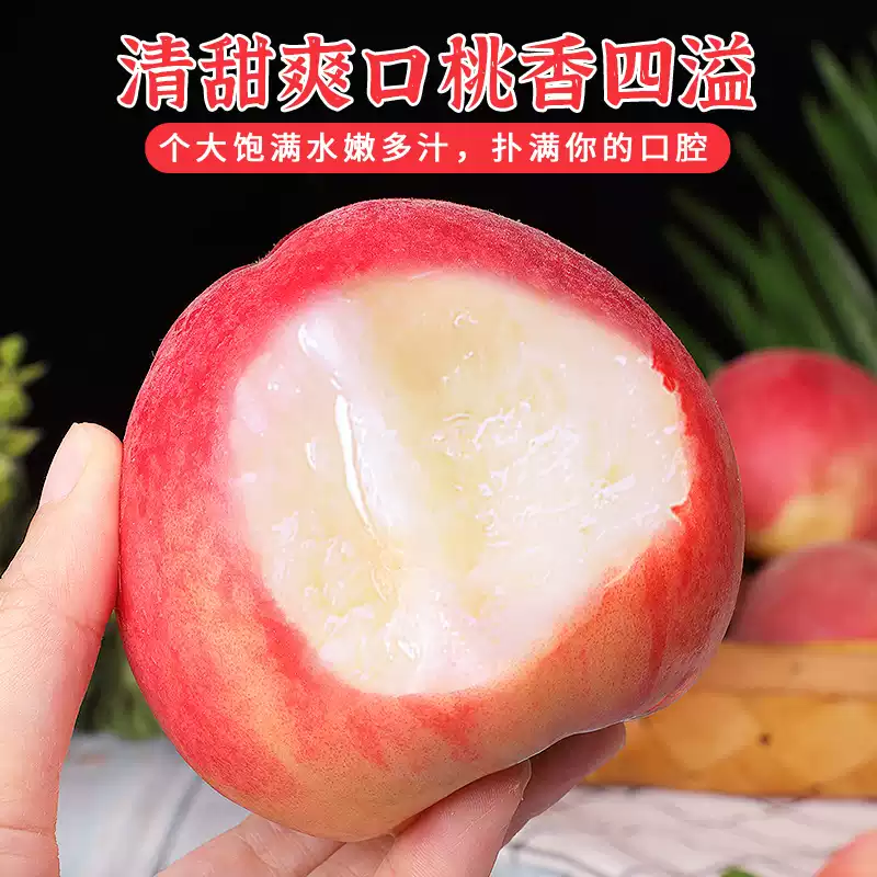 新鲜水蜜桃现摘毛桃蜜桃脆桃宝宝孕妇水果脆甜桃子天水产地鲜水果