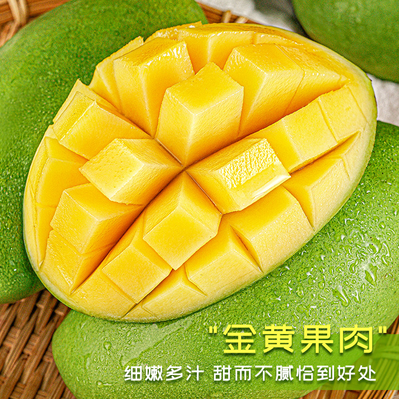 现摘现发新鲜大青芒酸脆生吃当季水果芒果芽广西青芒果整箱包邮