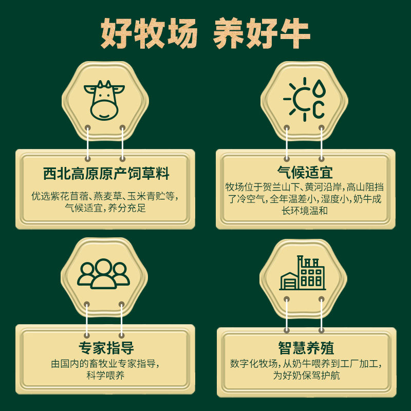 【年货送礼】塞北牧乡纯牛奶4.0蛋白 200mlx10盒1/2箱早餐奶营养