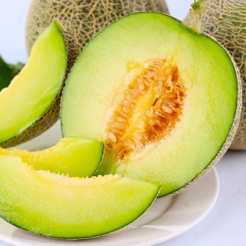 海南网纹瓜当季新鲜水果4斤中小果现摘甜香甜网纹西州蜜瓜包邮