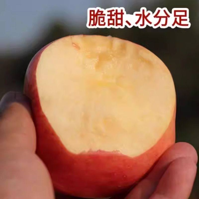 正宗陕西苹果脆甜红富士冰糖心苹果应季新鲜苹果水果批发整箱批发,淘宝优惠券,粉丝福利购,淘宝优惠卷