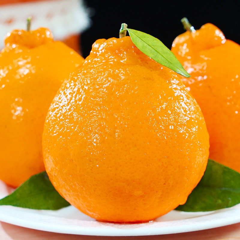 四川丑橘新鲜水果丑八怪当季孕妇手剥泡沫托彩箱不知火桔子现摘 四川丑橘新鲜水果丑八怪当季孕妇手剥泡沫托彩箱不知火桔子现摘