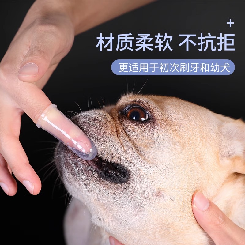 猫咪专用狗狗刷牙神器手指套硅胶牙刷牙膏套装宠物牙具清洁用品 - 图0