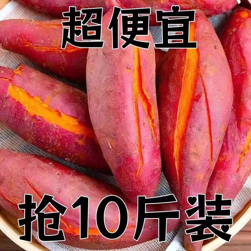 沙土地蜜薯10斤新鲜红薯农家自种红薯黄心超甜地瓜番薯黄心板栗薯 沙土地蜜薯10斤新鲜红薯农家自种红薯黄心超甜地瓜番薯黄心板栗薯