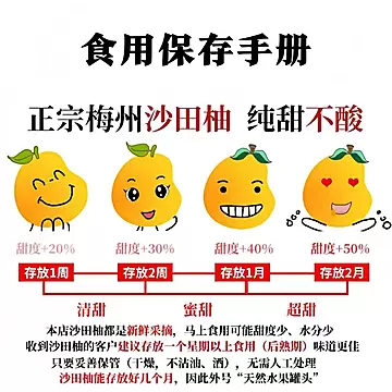 【礼金+金币11.4】纯甜！梅州沙田柚4.5斤[10元优惠券]-寻折猪