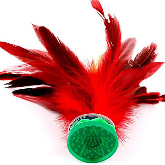 Shuttlecock Children Elementary School Kindergarten Kenzi