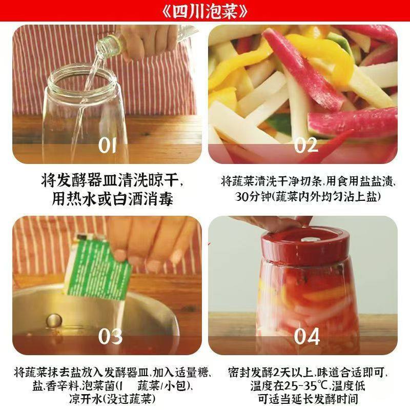 泡菜发酵菌家用乳酸菌发酵粉自制韩式辣白菜咸菜酵母四川风味蔬菜,淘宝优惠券,粉丝福利购,淘宝优惠卷