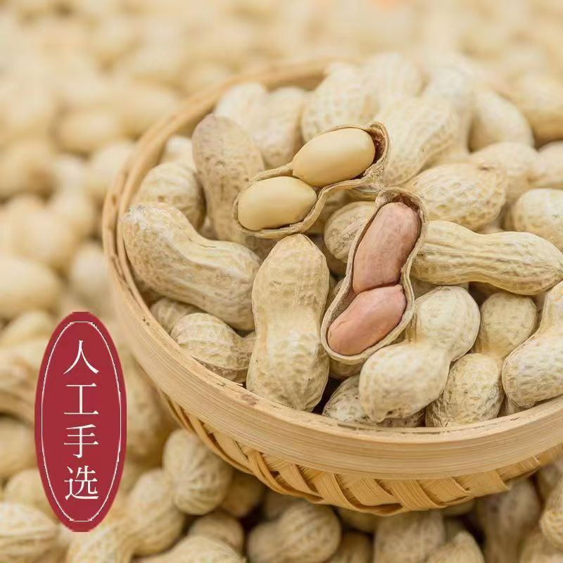 2025新货咸干花生500g带壳花生炒货大包装休闲零食坚果零食下酒菜