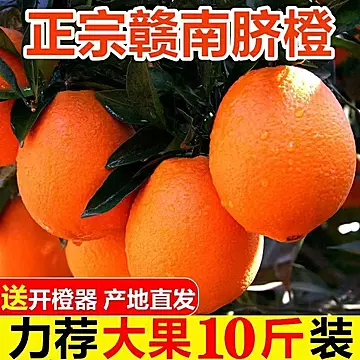 【下拉13.7元】5斤江西赣南脐橙单果70mm+[1元优惠券]-寻折猪