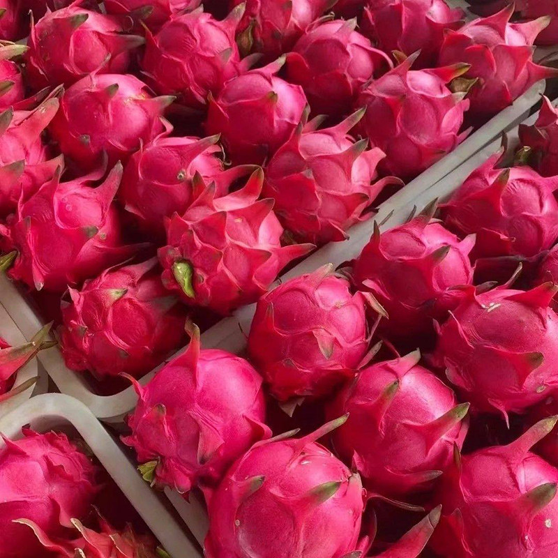 【芭芭农场兑换专享】红心火龙果3斤单果300g+