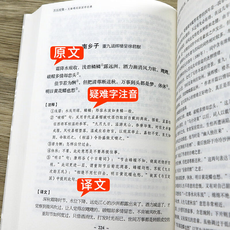 苏东坡集正版书籍 北宋苏轼传记诗词集 无障碍阅读国学经典著作 苏东坡传少年读苏东坡初中生版高中生版青少年版苏东坡全集全传 - 图2