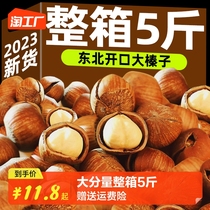 Hazelnut Northeastern special products 2023 New goods Fresh freshenes Fried Cooked Wild Open Raw Nuts Dried Fruits Whole Boxes Wholesale