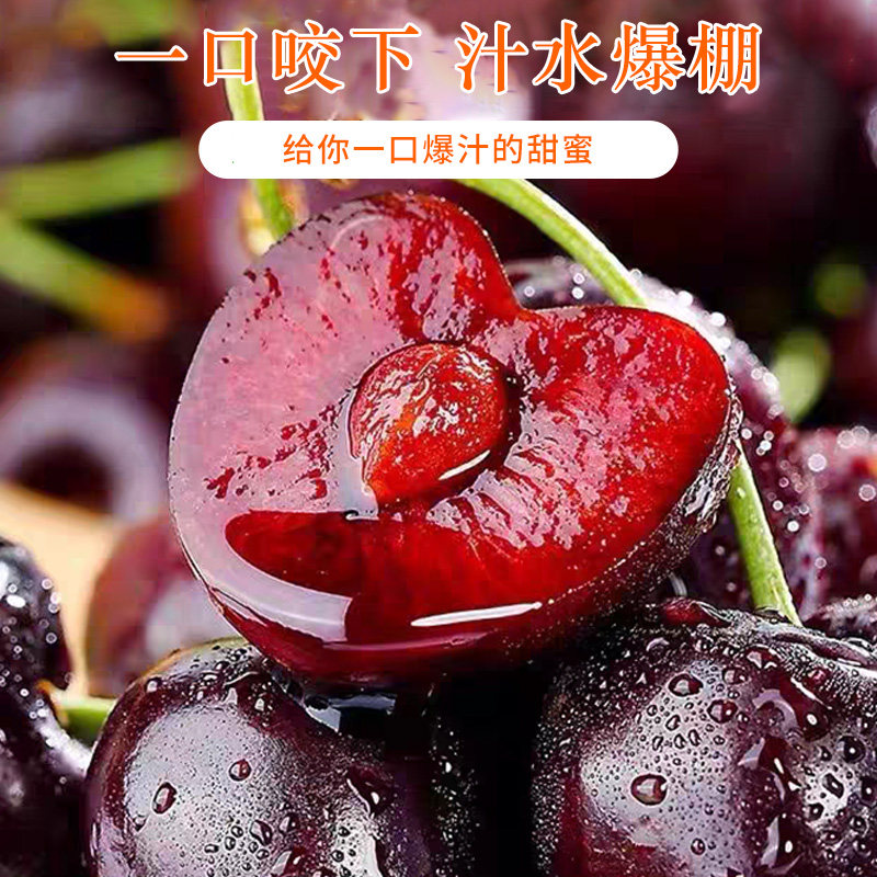 智利进口车厘子大果礼盒装原箱新鲜高端水果樱桃整箱包邮,淘宝优惠券,粉丝福利购,淘宝优惠卷