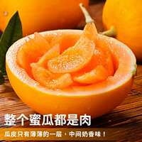 正宗甘肃民勤蜜瓜8-9斤