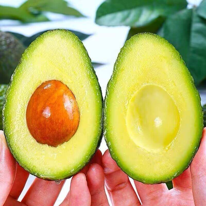 甄选秘鲁进口牛油果新鲜当季水果新鲜果鳄梨应季营养丰富孕妇包邮,淘宝优惠券,粉丝福利购,淘宝优惠卷