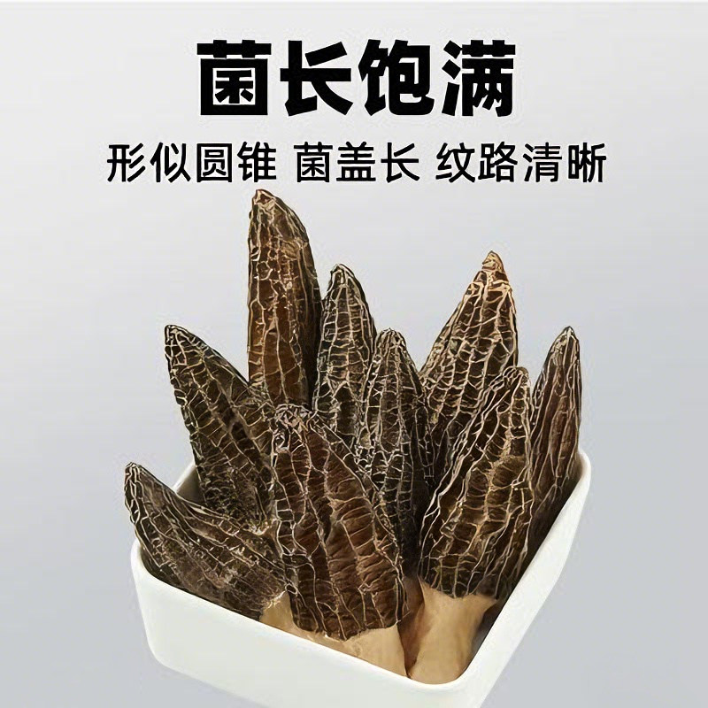 高品质头茬羊肚菌干货特产直采煲汤火锅新货孕妇儿童菌菇鲜美新鲜,淘宝优惠券,粉丝福利购,淘宝优惠卷