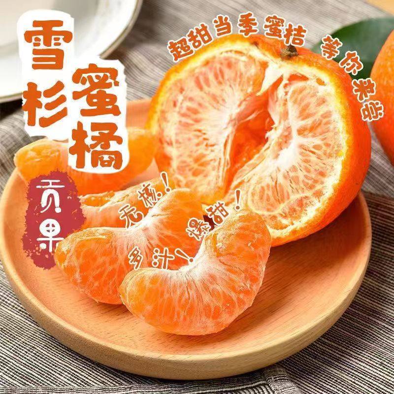 精选！雪杉蜜桔雪杉小蜜橘黄桔子橘子蜜桔柑橘应季新鲜水果包邮,淘宝优惠券,粉丝福利购,淘宝优惠卷