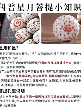 真海南星月菩提手串女正品原生态顺白高密度十二生肖男士文玩手链