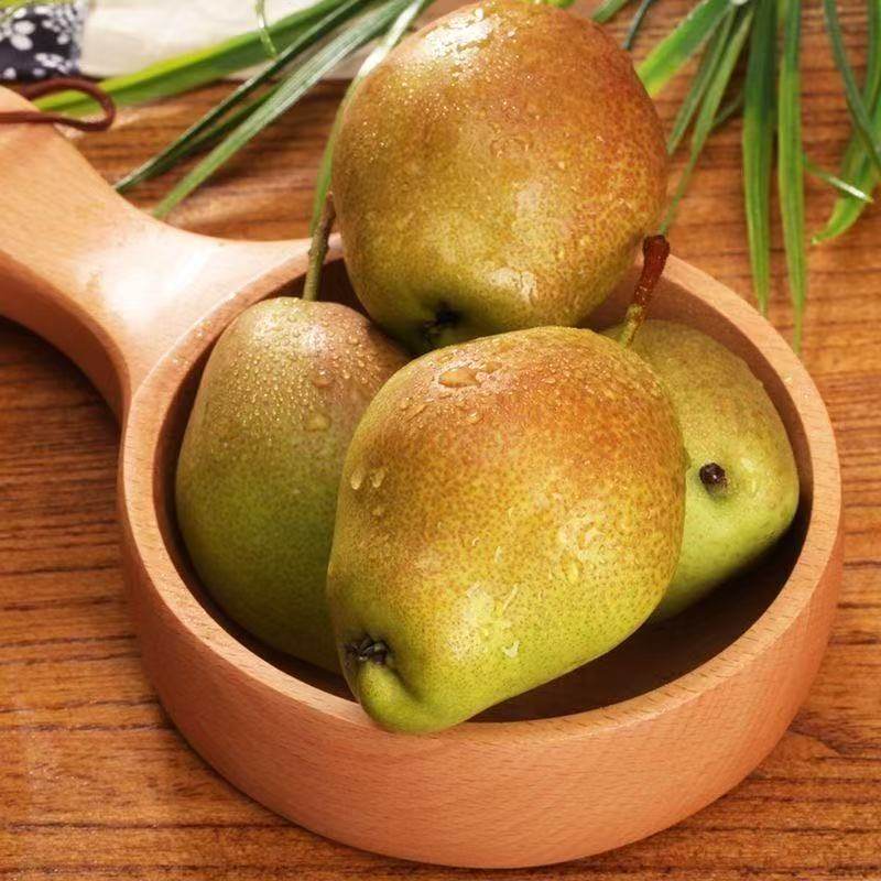 批发价正宗红香酥梨现摘青红皮香梨新鲜水果当季应季整箱薄皮脆甜,淘宝优惠券,粉丝福利购,淘宝优惠卷