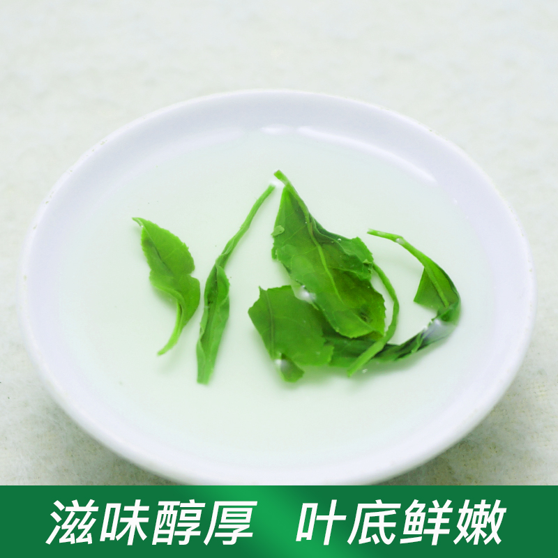 早春新茶云雾绿茶高山茶叶非毛尖茶日照袋装散装一级炒青嫩芽 - 图2