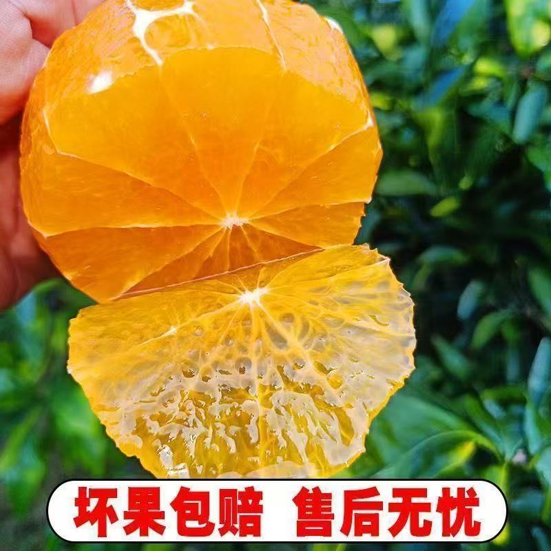 爱媛38号果冻橙新鲜橙子水果应季冰糖橙现摘甜柑橘大果9斤整箱