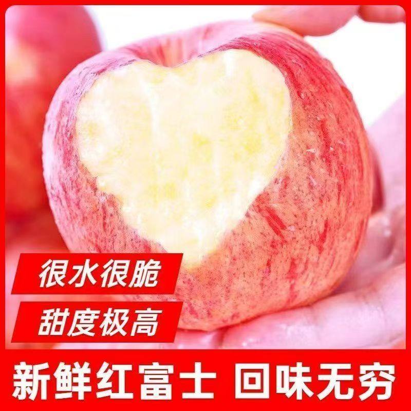 当季陕西脆甜红富士苹果新鲜当季冰糖心苹果水果水果不打蜡带皮吃