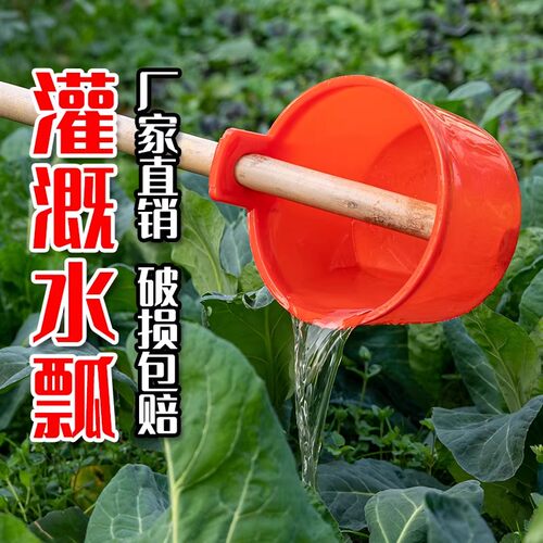 水瓢浇水灌溉粪瓢加厚长柄熟胶家用水舀子牛筋养殖喂食施肥打捞瓢 - 图1