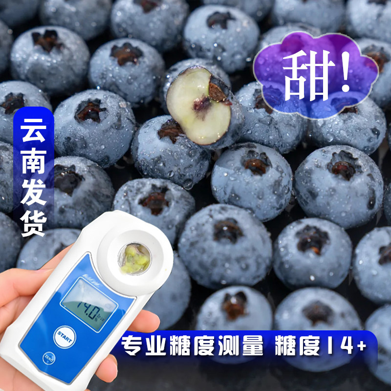 【顺丰空运】云南高原花香蓝莓脆甜小果玫瑰花香口感清甜多汁12mm