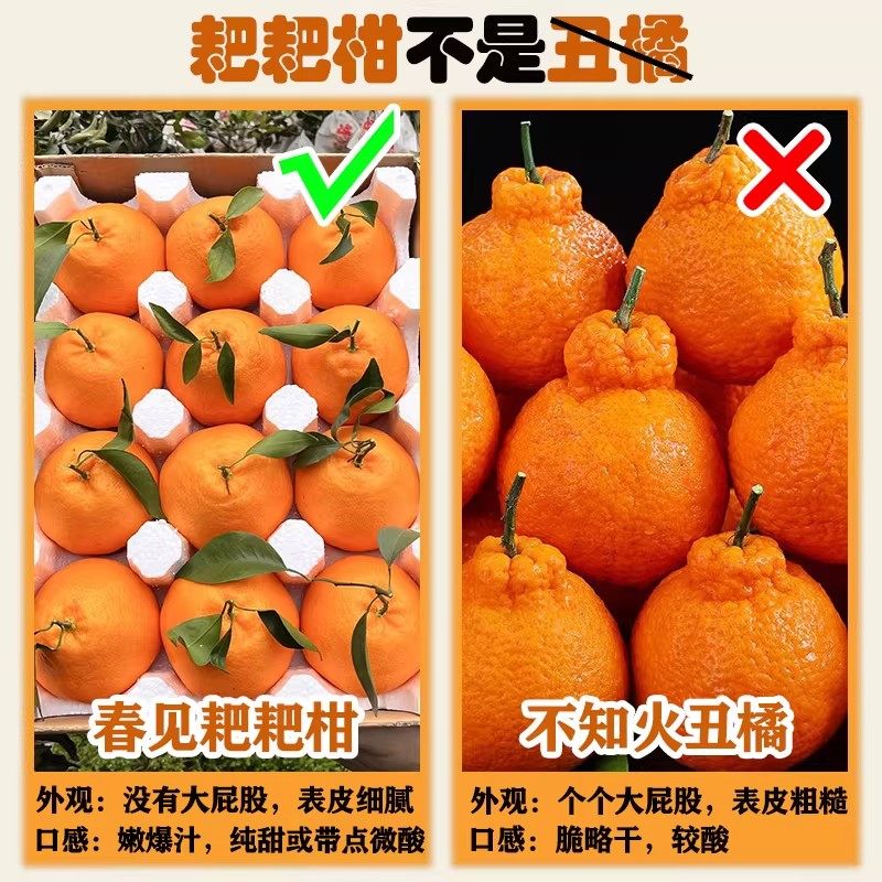 四川春见耙耙柑粑粑柑10斤新鲜水果橘子当季整箱杷杷柑特大果无籽,淘宝优惠券,粉丝福利购,淘宝优惠卷